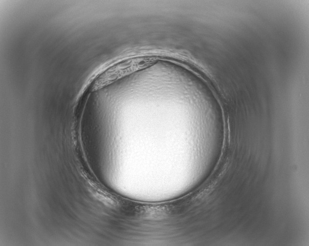 X0000060761501200512011459