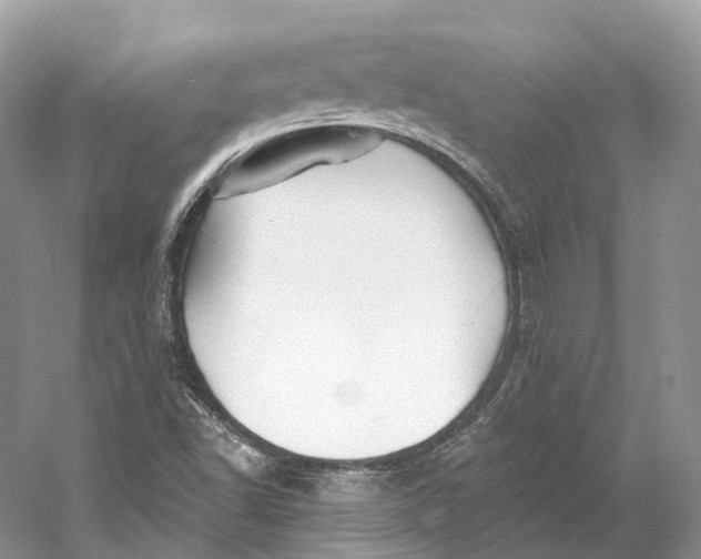 X0000060761502200512011459