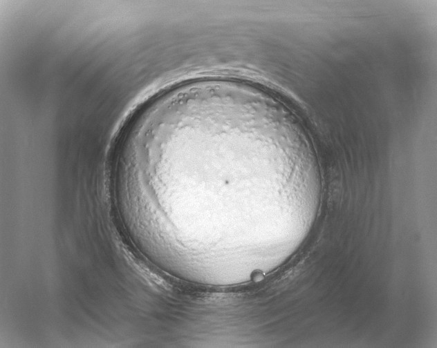 X0000060761506200512011500