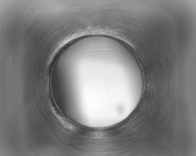X0000060761507200512011500