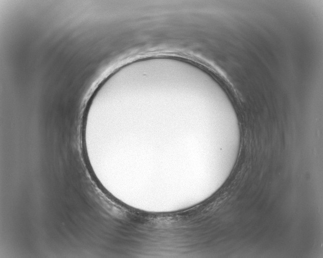 X0000060761512200512011500