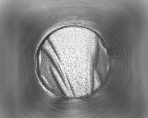 X0000060761515200512011500