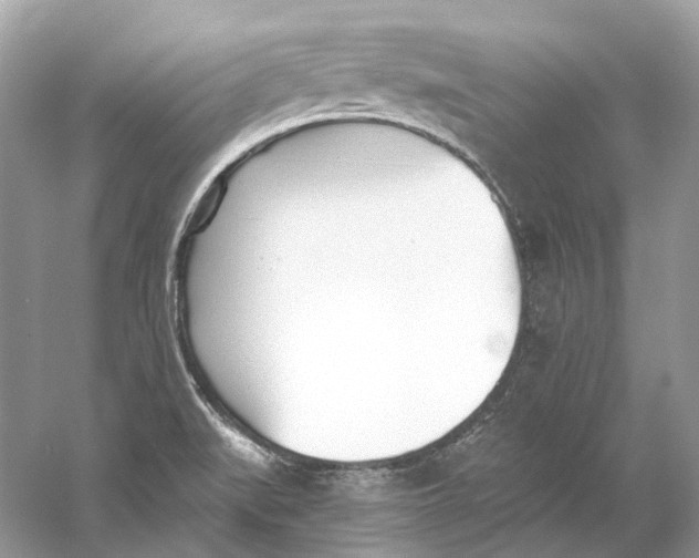 X0000060761519200512011500