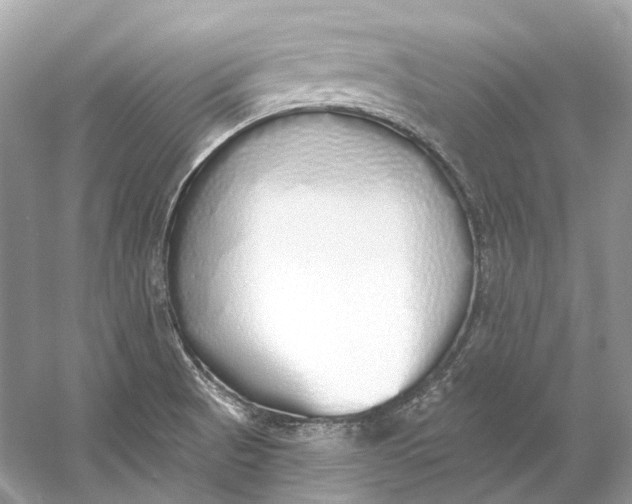 X0000060761521200512011500