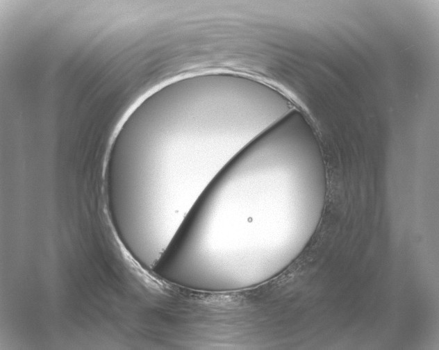 X0000060761524200512011500