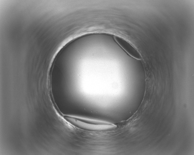 X0000060761527200512011500