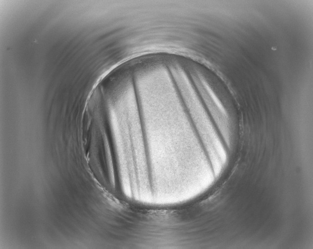 X0000060761529200512011500