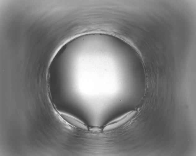 X0000060761532200512011500