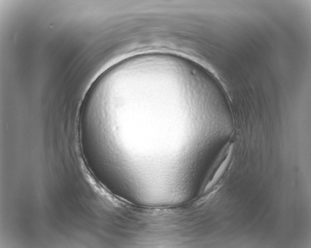 X0000060761534200512011500