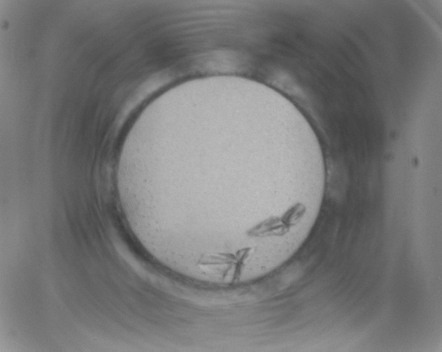 X0000060760012200512082020