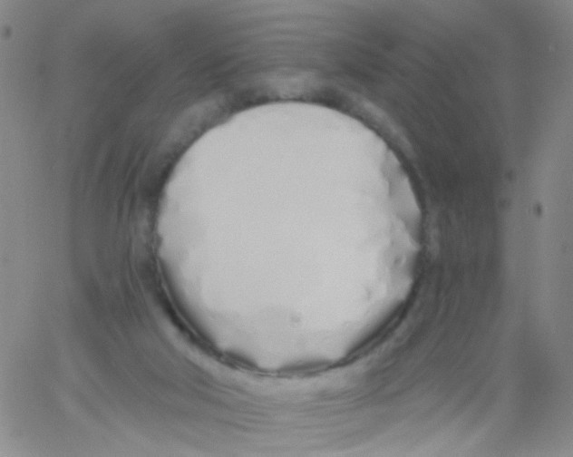 X0000060760018200512082020