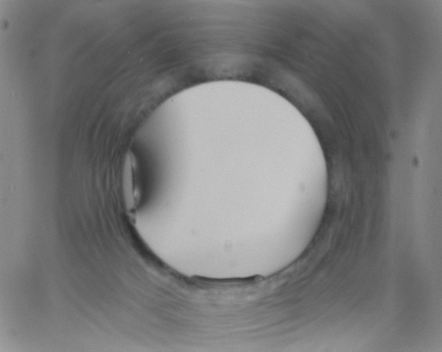 X0000060760025200512082019