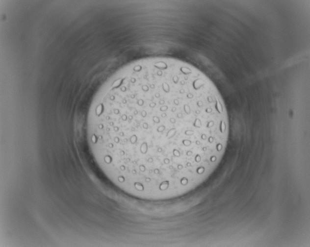 X0000060760026200512082019