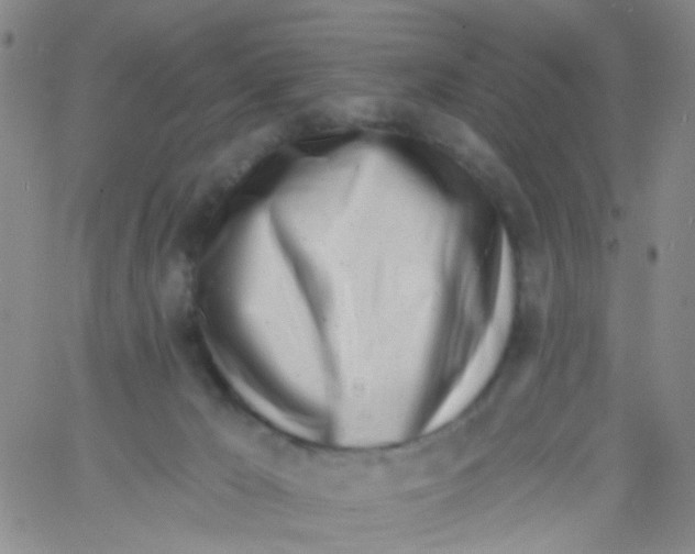 X0000060760029200512082019