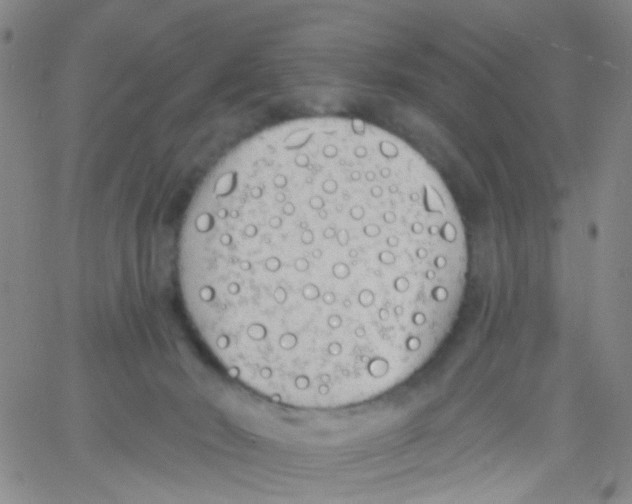 X0000060760030200512082019