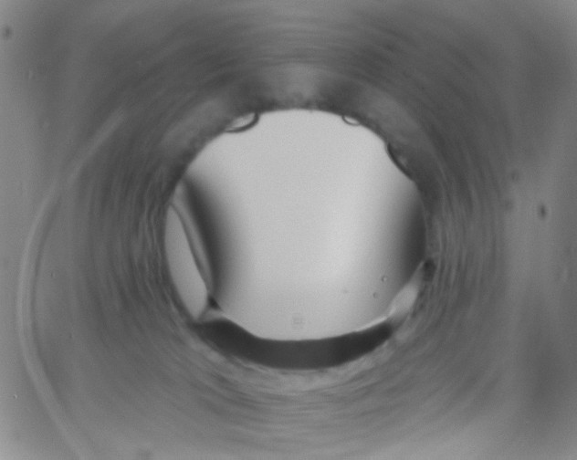 X0000060760037200512082019