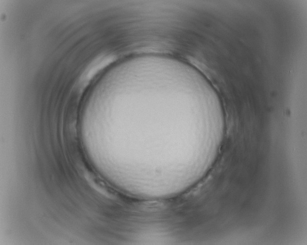 X0000060760050200512082018