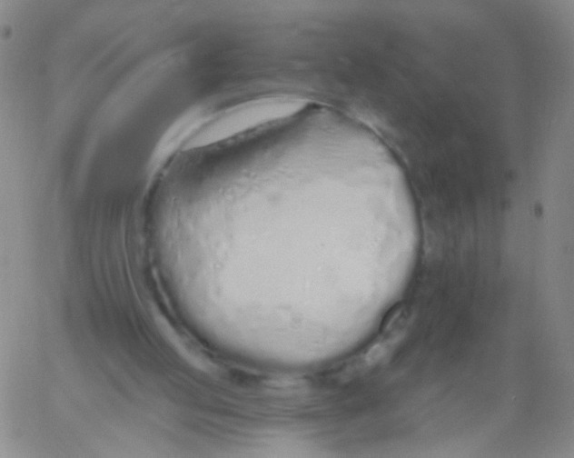 X0000060760053200512082018
