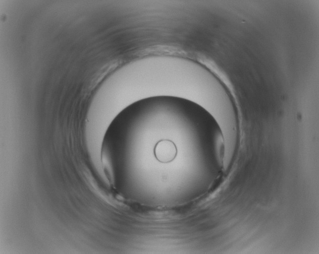 X0000060760057200512082018
