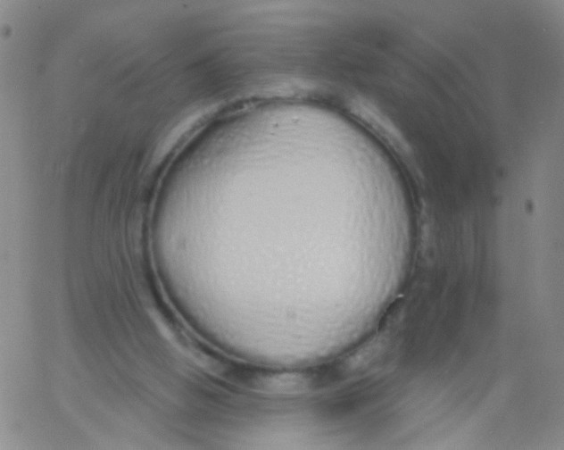 X0000060760058200512082018