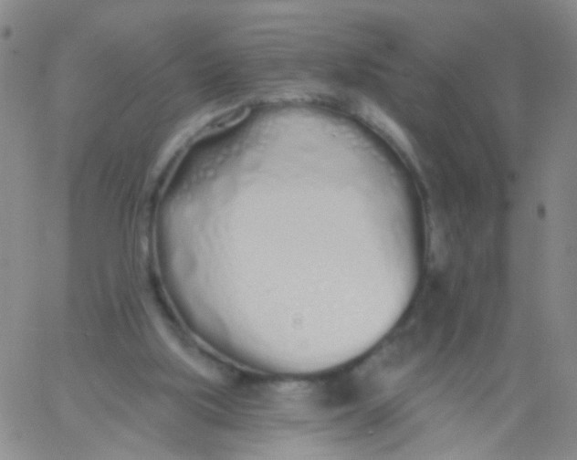 X0000060760059200512082018