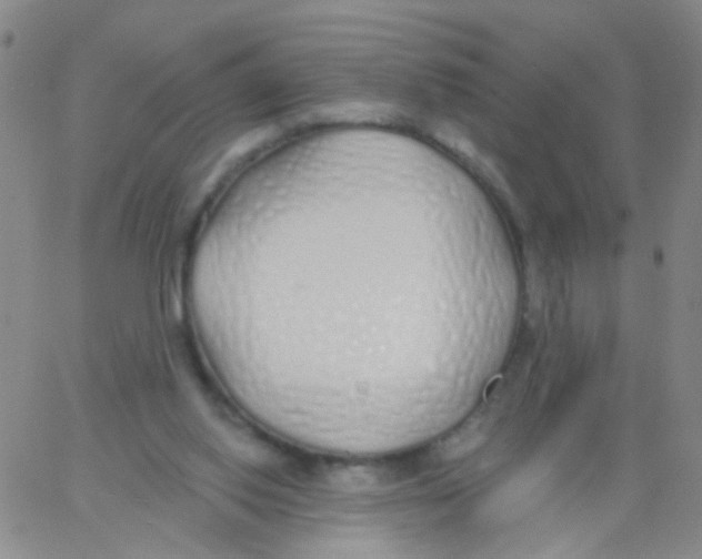 X0000060760062200512082019