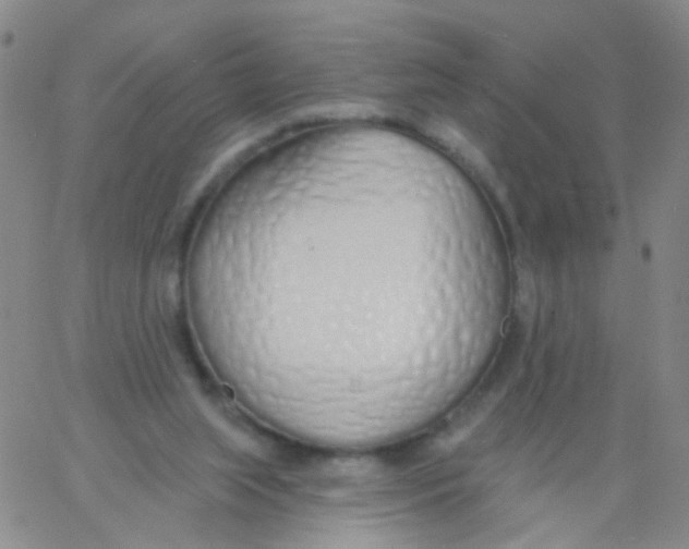 X0000060760063200512082019