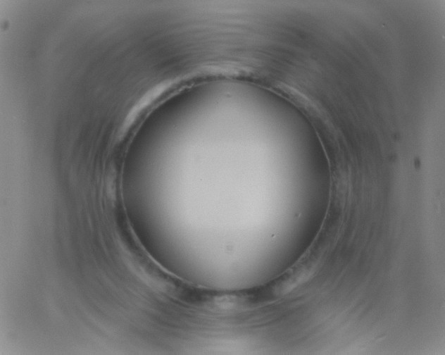 X0000060760064200512082019