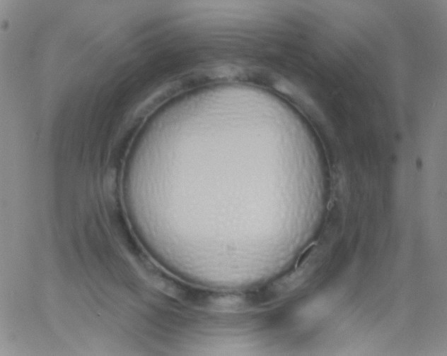 X0000060760066200512082019
