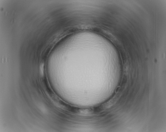 X0000060760070200512082019