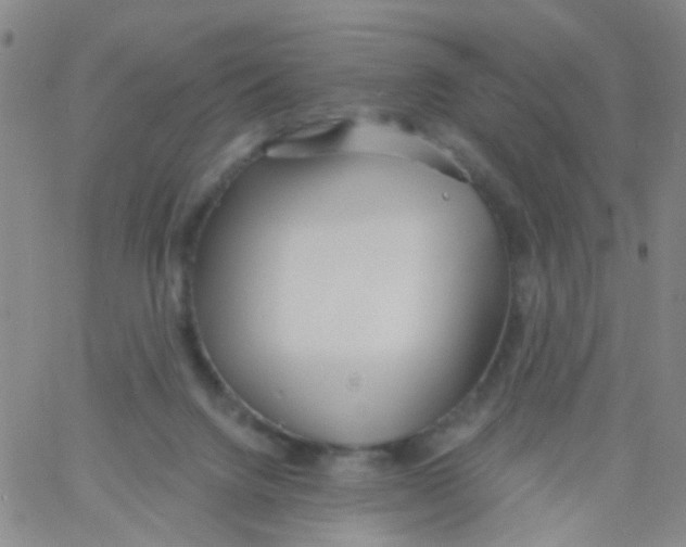 X0000060760072200512082019