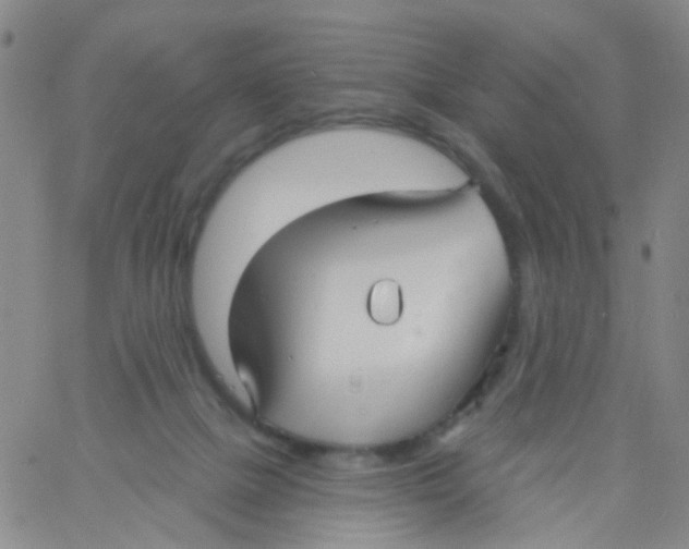 X0000060760073200512082019