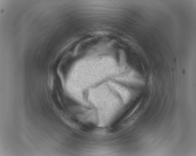 X0000060760076200512082019
