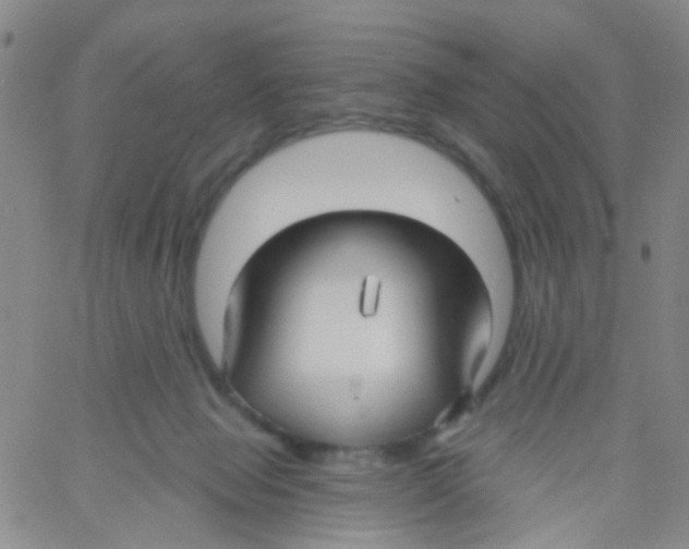 X0000060760077200512082019