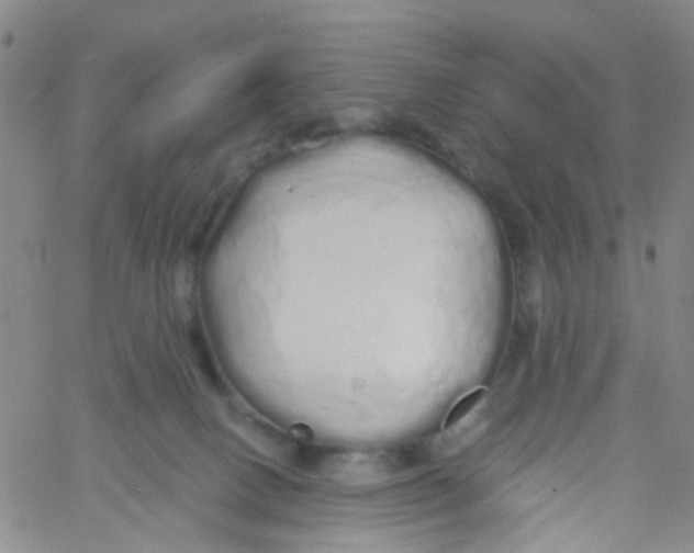 X0000060760082200512082019