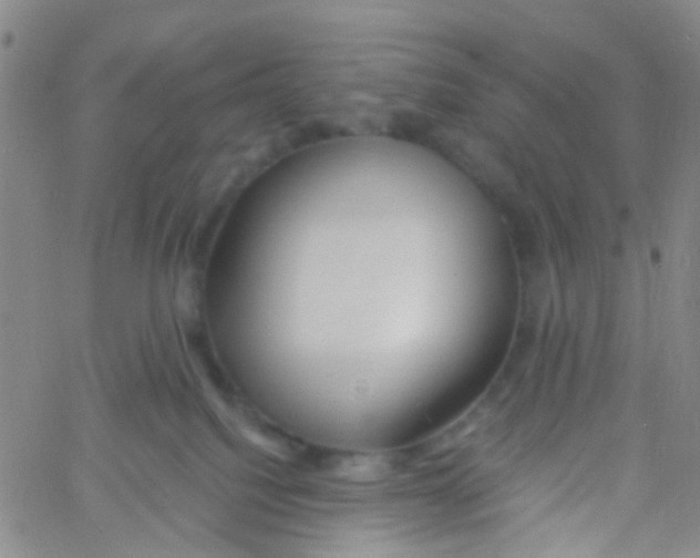 X0000060760088200512082019