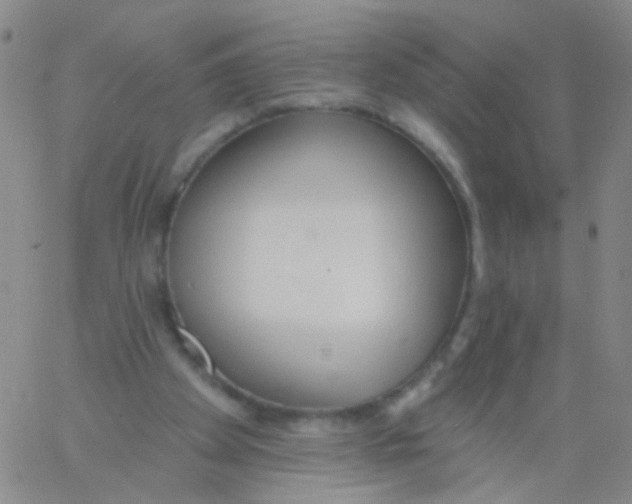 X0000060760105200512082018