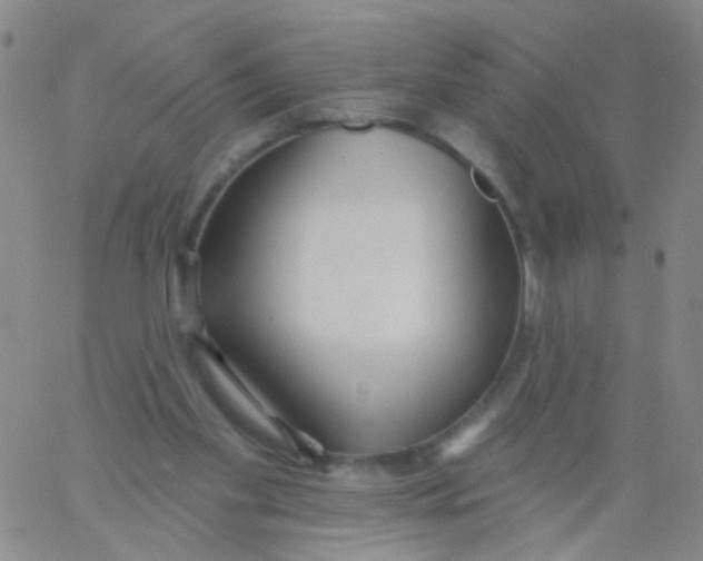 X0000060760109200512082018