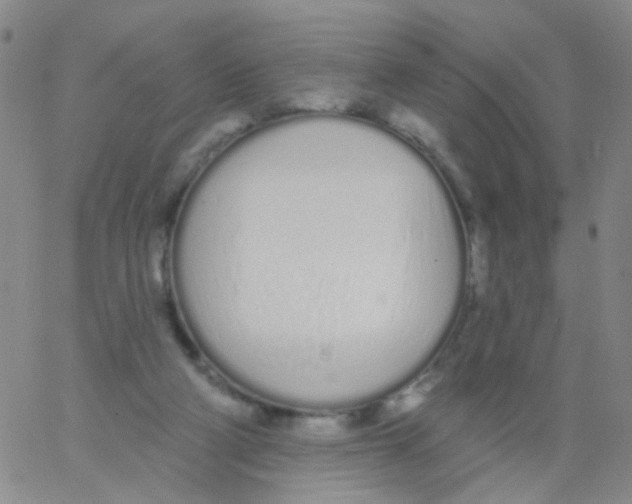 X0000060760114200512082018