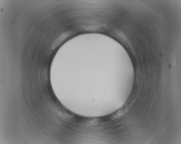 X0000060760116200512082018
