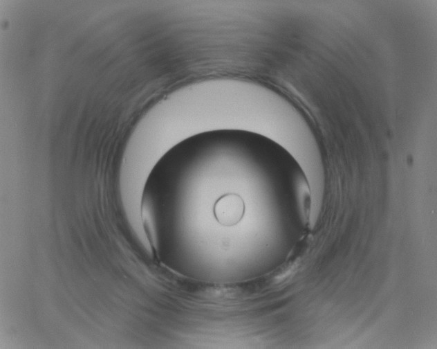 X0000060760117200512082018