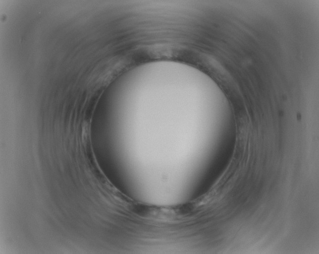 X0000060760125200512082018