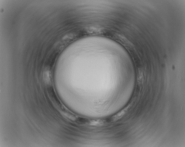 X0000060760130200512082018