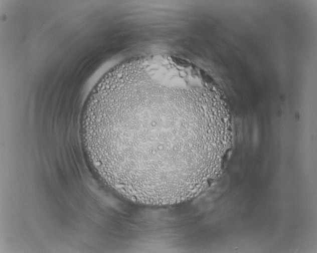 X0000060760147200512082017