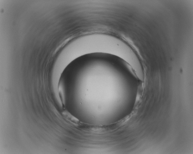 X0000060760154200512082017