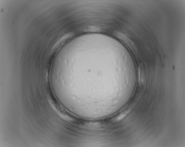 X0000060760157200512082017