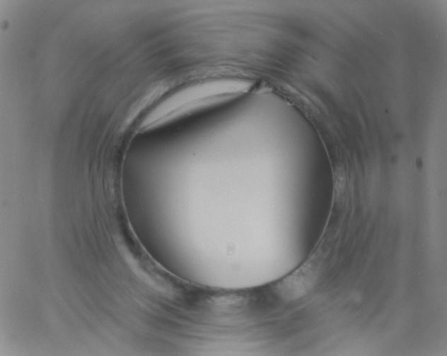 X0000060760158200512082017