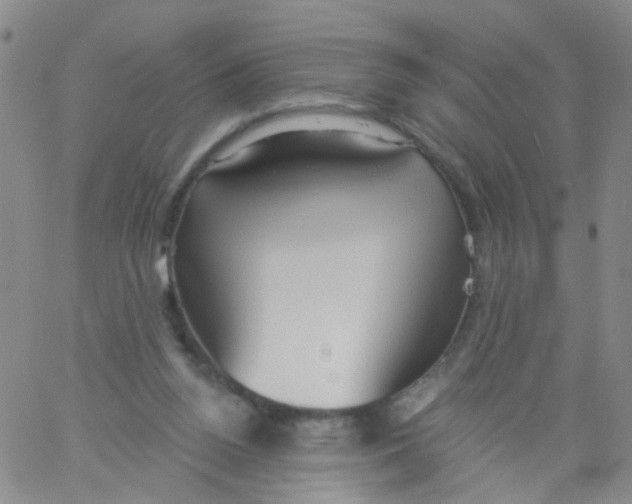X0000060760160200512082017