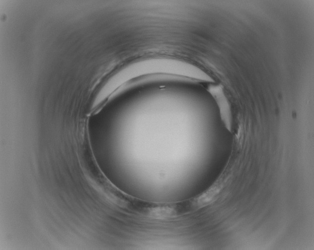 X0000060760168200512082017