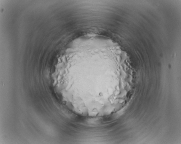 X0000060760178200512082017